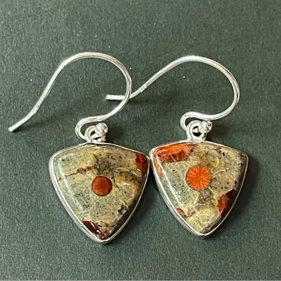 Natural Peanut Obsidian 925 Sterling Silver Earrings - Picture 9 of 9